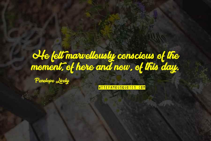 Stievie Quotes By Penelope Lively: He felt marvellously conscious of the moment, of