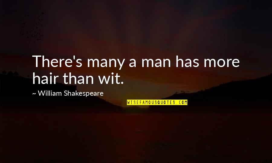 Stievie Quotes By William Shakespeare: There's many a man has more hair than