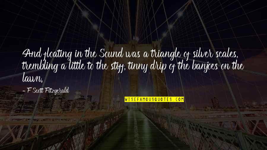 Stiff Quotes By F Scott Fitzgerald: And floating in the Sound was a triangle Stiff Quotes By F Scott Fitzgerald: And floating in the Sound was a triangle