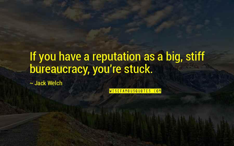 Stiff Quotes By Jack Welch: If you have a reputation as a big,