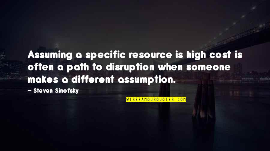 Stiffe Quotes By Steven Sinofsky: Assuming a specific resource is high cost is