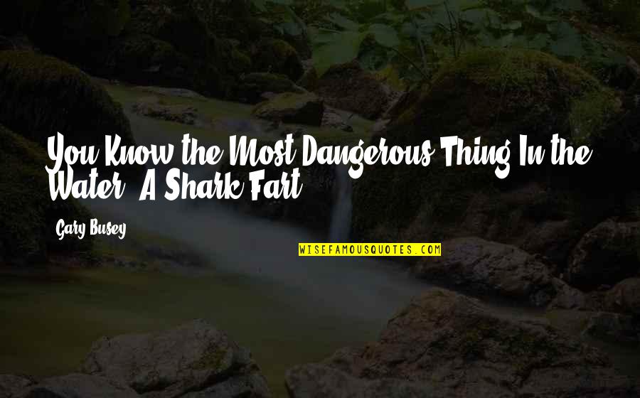 Stiffs Mill Quotes By Gary Busey: You Know the Most Dangerous Thing In the