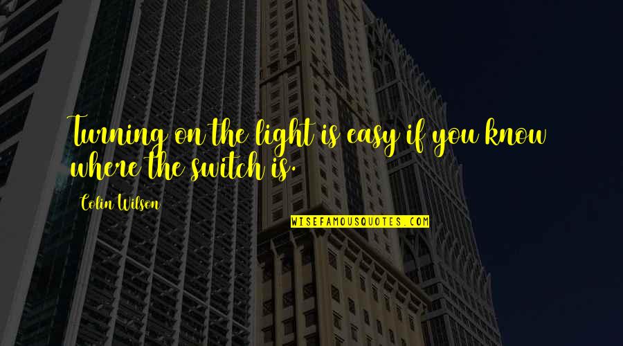 Stiglingh Memorial Bursary Quotes By Colin Wilson: Turning on the light is easy if you