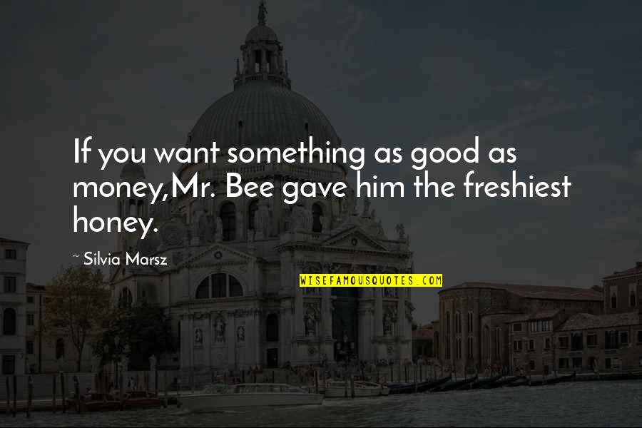 Stiky Quotes By Silvia Marsz: If you want something as good as money,Mr.