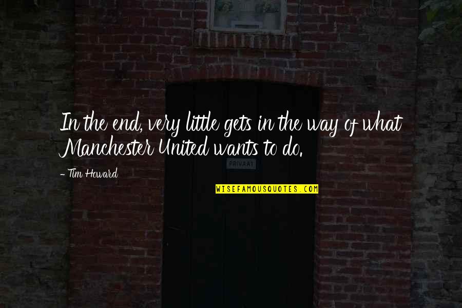Stilgoe In The Shed Quotes By Tim Howard: In the end, very little gets in the