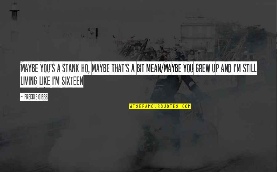 Still Like You Quotes By Freddie Gibbs: Maybe you's a stank ho, maybe that's a Still Like You Quotes By Freddie Gibbs: Maybe you's a stank ho, maybe that's a