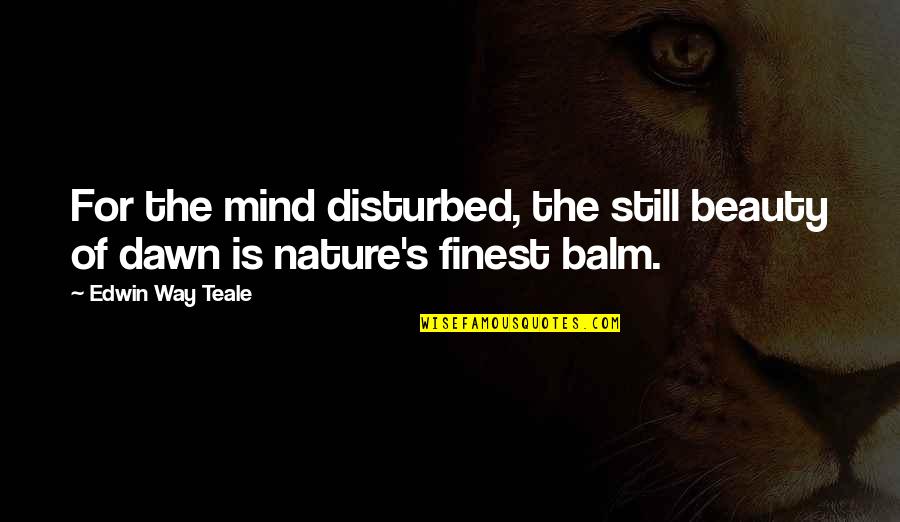 Still The Mind Quotes By Edwin Way Teale: For the mind disturbed, the still beauty of