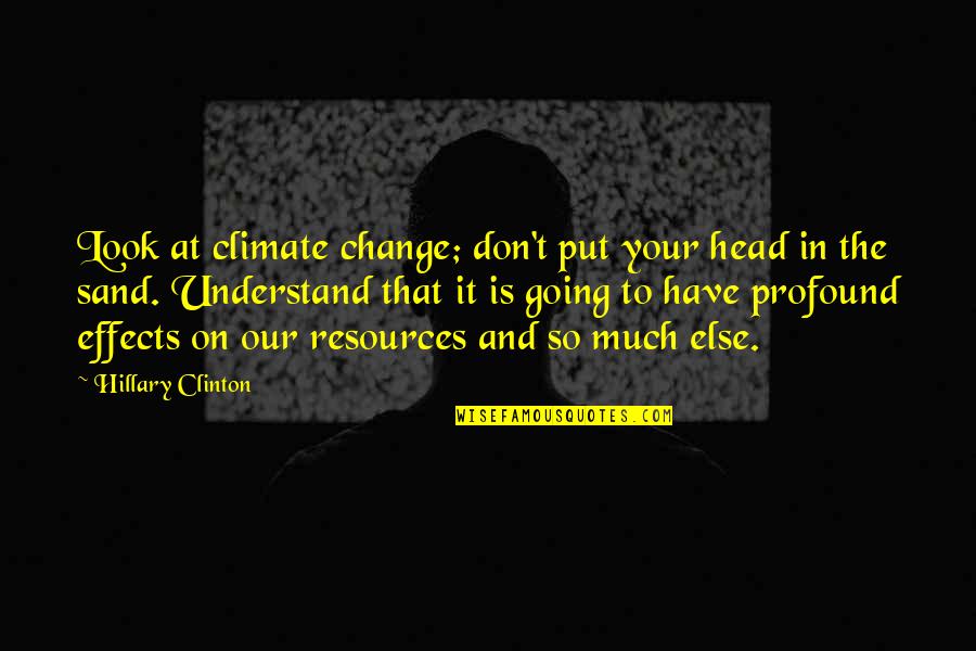 Still The Same Person Quotes By Hillary Clinton: Look at climate change; don't put your head