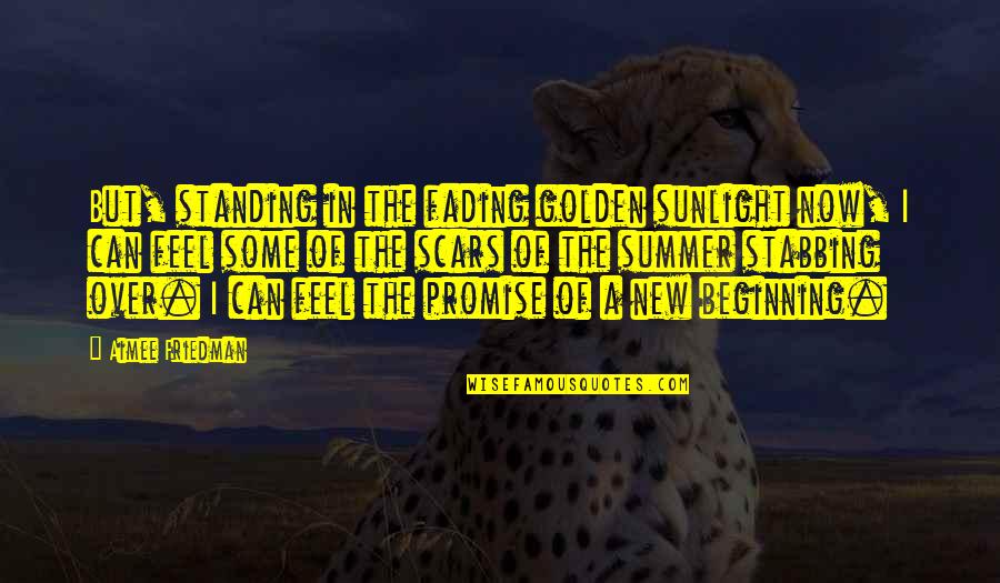 Still Waiting For The Right One Quotes By Aimee Friedman: But, standing in the fading golden sunlight now,