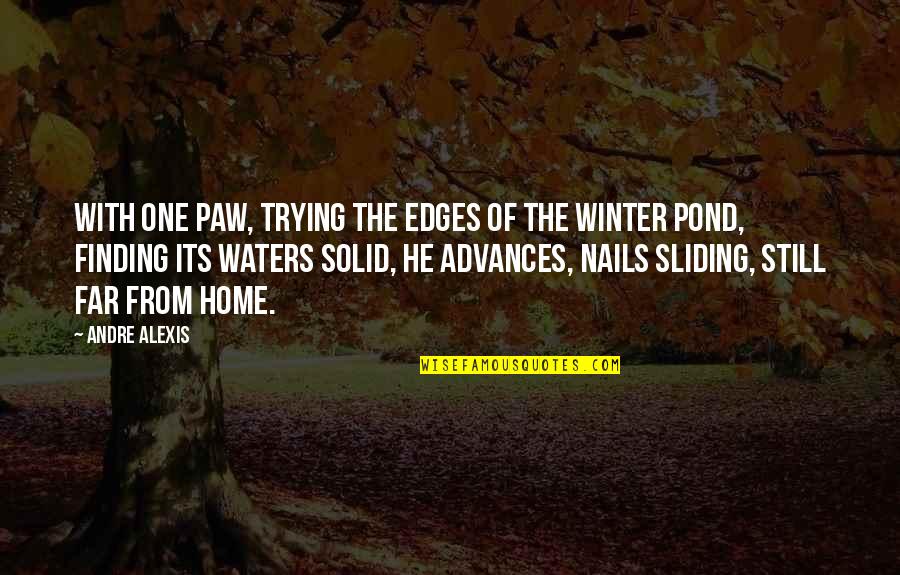 Still Waters Quotes By Andre Alexis: With one paw, trying the edges of the