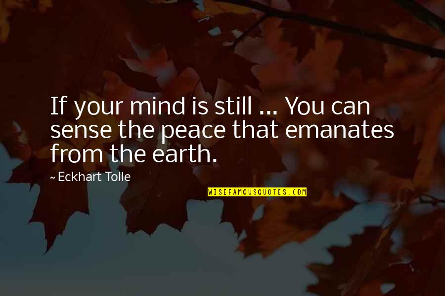 Still Your Mind Quotes By Eckhart Tolle: If your mind is still ... You can