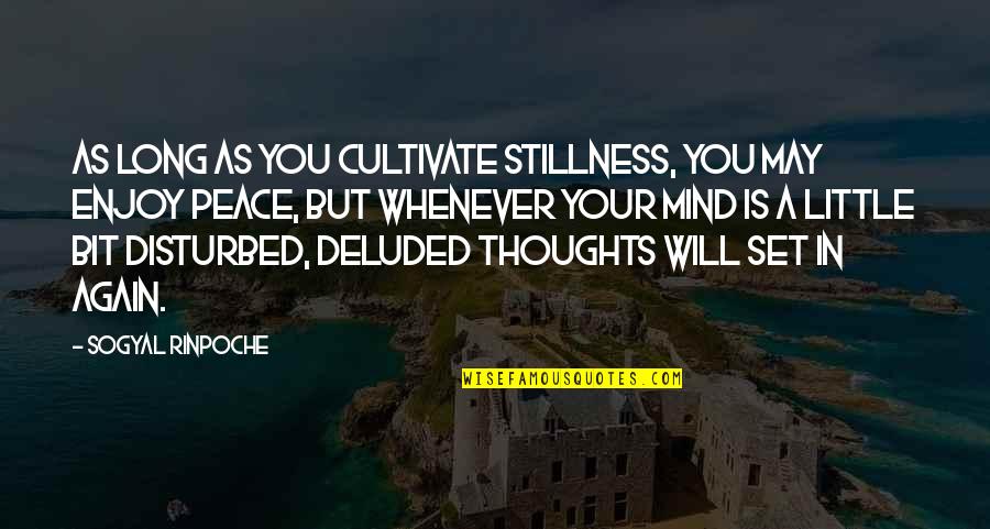 Stillness And Peace Quotes By Sogyal Rinpoche: As long as you cultivate stillness, you may