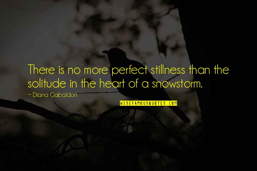 Stillness Of Heart Quotes By Diana Gabaldon: There is no more perfect stillness than the