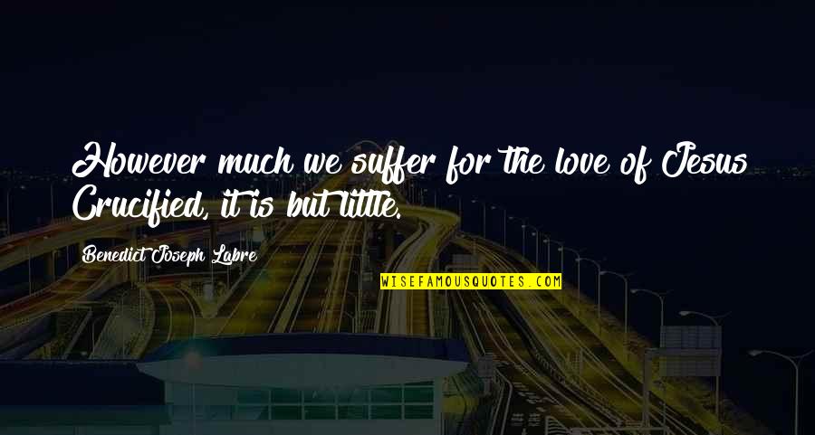 Stimpel Llc Quotes By Benedict Joseph Labre: However much we suffer for the love of