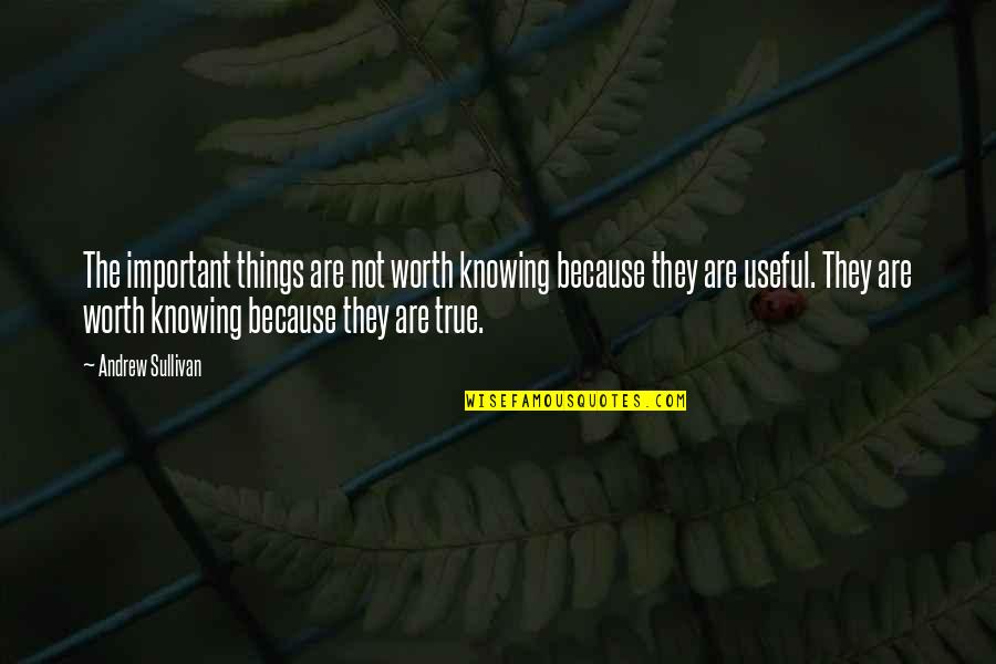 Stimulas Quotes By Andrew Sullivan: The important things are not worth knowing because Stimulas Quotes By Andrew Sullivan: The important things are not worth knowing because