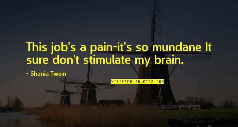 Stimulate My Brain Quotes By Shania Twain: This job's a pain-it's so mundane It sure