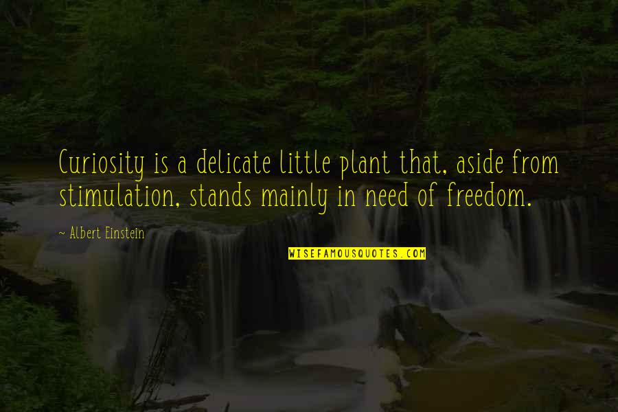 Stimulation Quotes By Albert Einstein: Curiosity is a delicate little plant that, aside