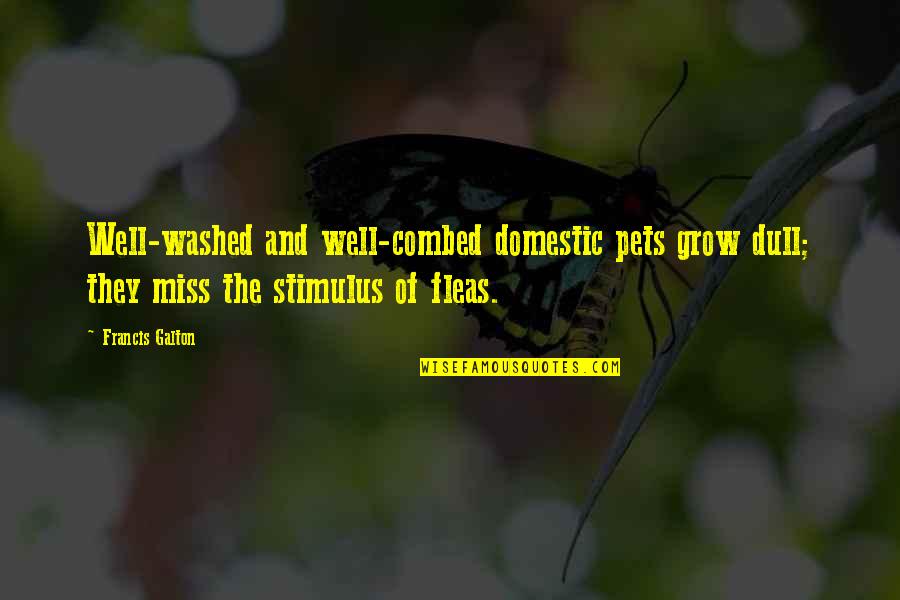 Stimulus Quotes By Francis Galton: Well-washed and well-combed domestic pets grow dull; they