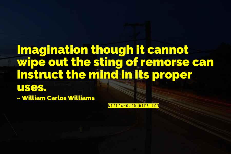Sting Quotes By William Carlos Williams: Imagination though it cannot wipe out the sting