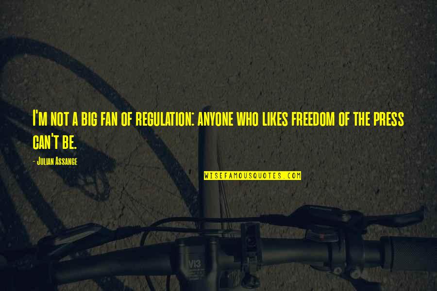 Stingeth Quotes By Julian Assange: I'm not a big fan of regulation: anyone