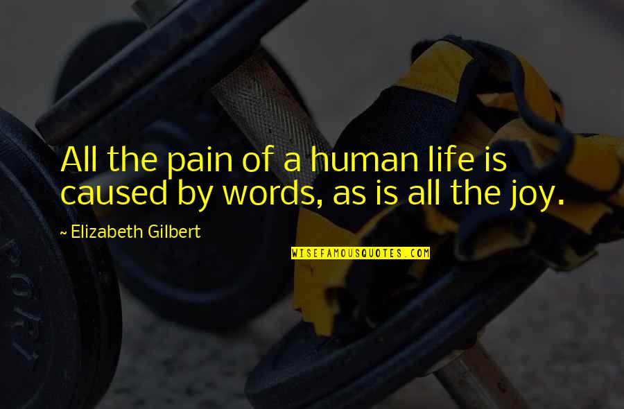 Stingily Crossword Quotes By Elizabeth Gilbert: All the pain of a human life is