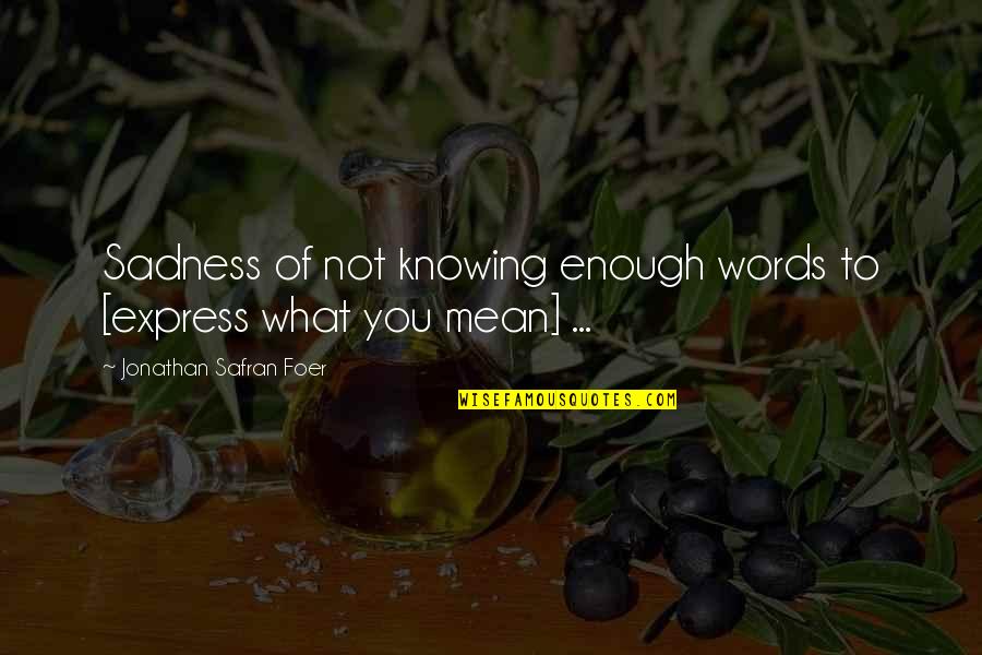 Stingy Relationship Quotes By Jonathan Safran Foer: Sadness of not knowing enough words to [express