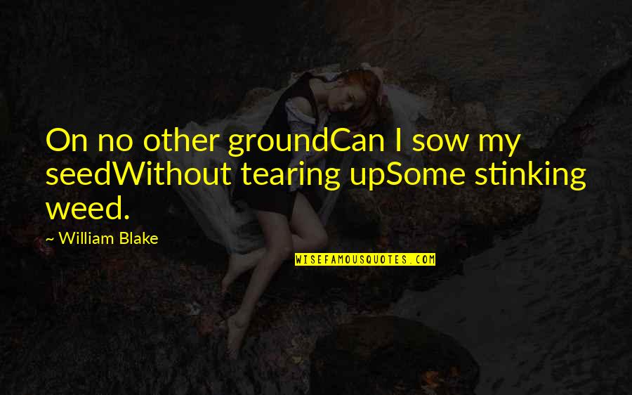 Stinking Quotes By William Blake: On no other groundCan I sow my seedWithout
