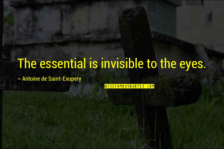 Stinky Cheese Man Quotes By Antoine De Saint-Exupery: The essential is invisible to the eyes.