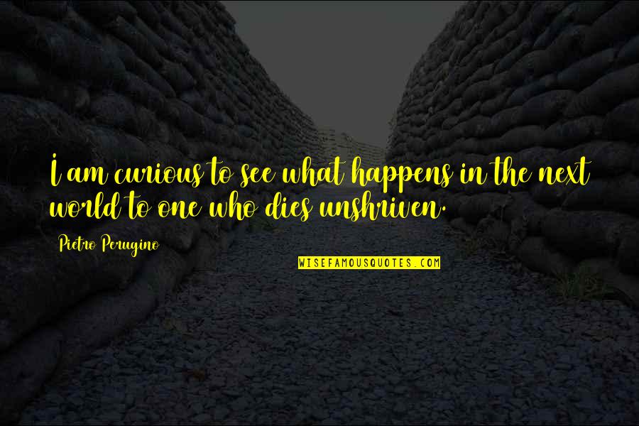 Stinser Quotes By Pietro Perugino: I am curious to see what happens in