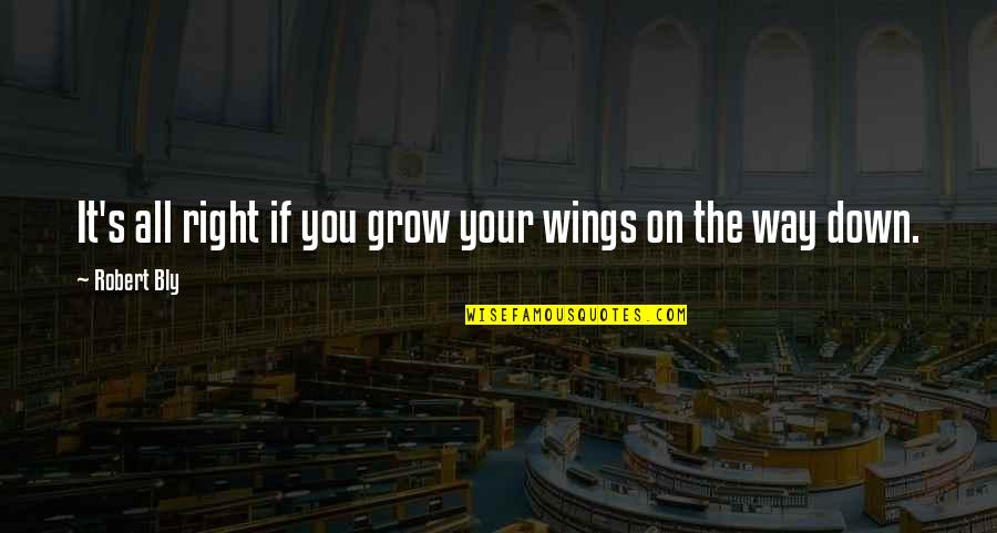 Stir The Pot Quotes By Robert Bly: It's all right if you grow your wings