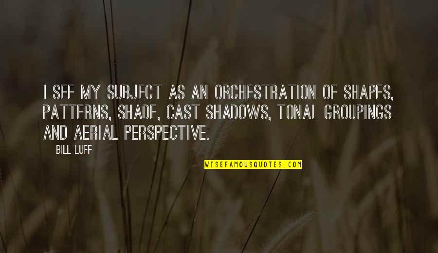 Stirbst Quotes By Bill Luff: I see my subject as an orchestration of