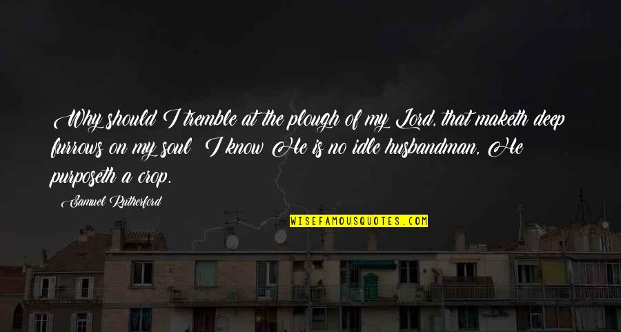 Stirnella Quotes By Samuel Rutherford: Why should I tremble at the plough of Stirnella Quotes By Samuel Rutherford: Why should I tremble at the plough of