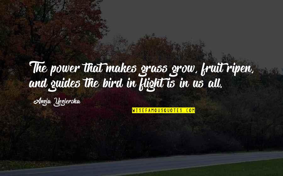 Stitched Together Quotes By Anzia Yezierska: The power that makes grass grow, fruit ripen, Stitched Together Quotes By Anzia Yezierska: The power that makes grass grow, fruit ripen,