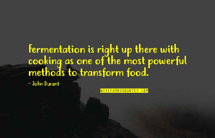 Stivaletti Con Quotes By John Durant: Fermentation is right up there with cooking as