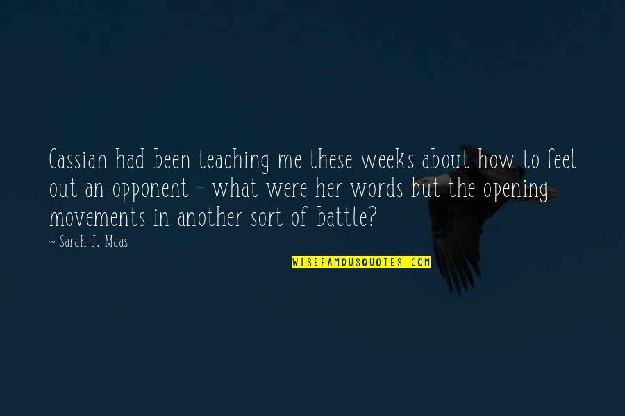 Stochmal Murder Quotes By Sarah J. Maas: Cassian had been teaching me these weeks about