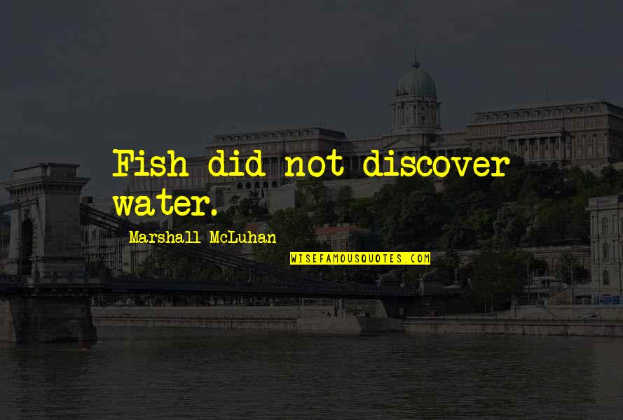Stockings In Death Of A Salesman Quotes By Marshall McLuhan: Fish did not discover water.