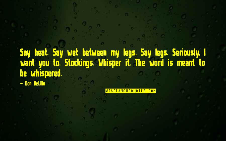 Stockings Quotes By Don DeLillo: Say heat. Say wet between my legs. Say