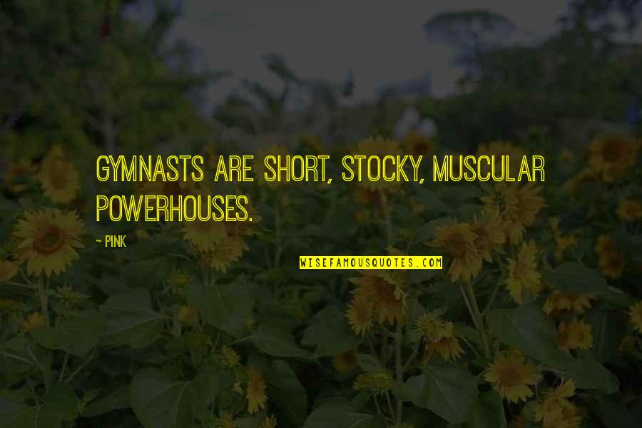 Stocky Quotes By Pink: Gymnasts are short, stocky, muscular powerhouses.