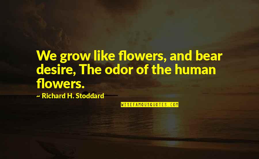 Stoddard Quotes By Richard H. Stoddard: We grow like flowers, and bear desire, The