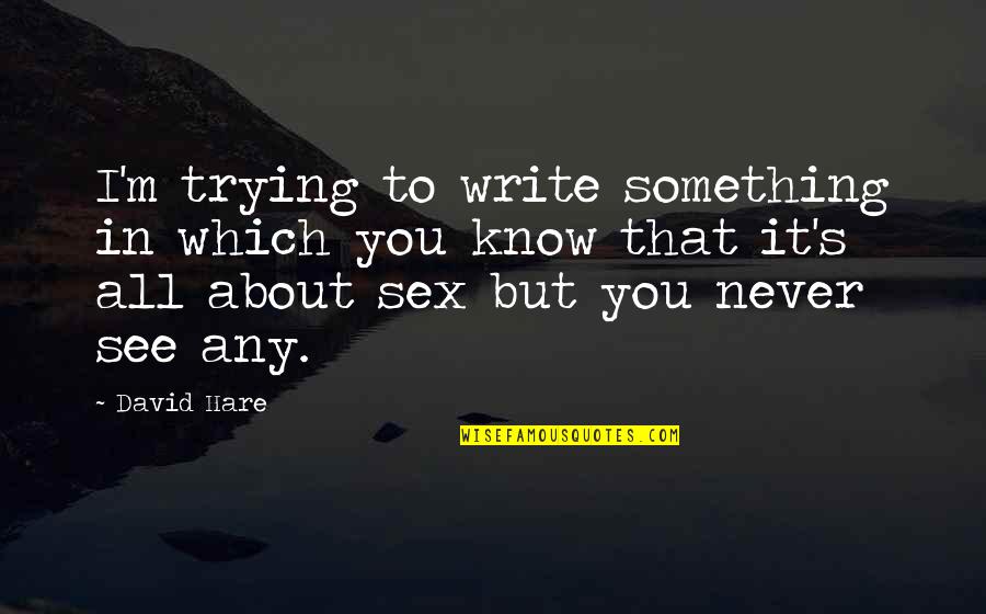 Stodden Hutchison Quotes By David Hare: I'm trying to write something in which you Stodden Hutchison Quotes By David Hare: I'm trying to write something in which you