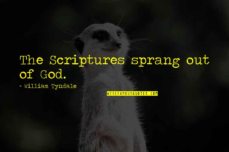 Stoevelaar En Quotes By William Tyndale: The Scriptures sprang out of God.