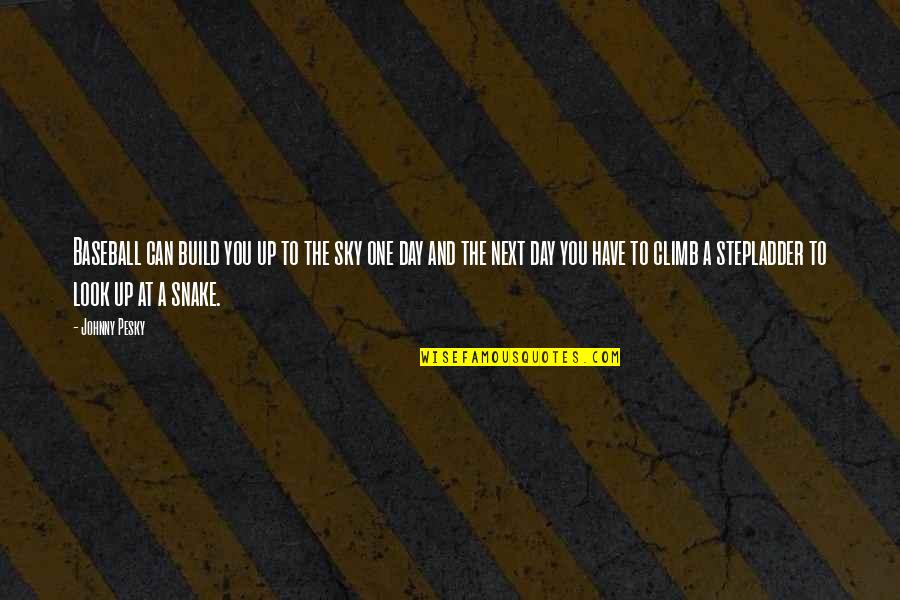 Stoichita Mihai Quotes By Johnny Pesky: Baseball can build you up to the sky Stoichita Mihai Quotes By Johnny Pesky: Baseball can build you up to the sky