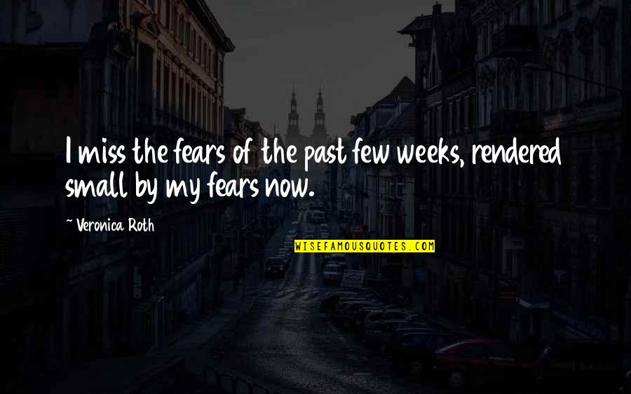 Stoichita Mihai Quotes By Veronica Roth: I miss the fears of the past few