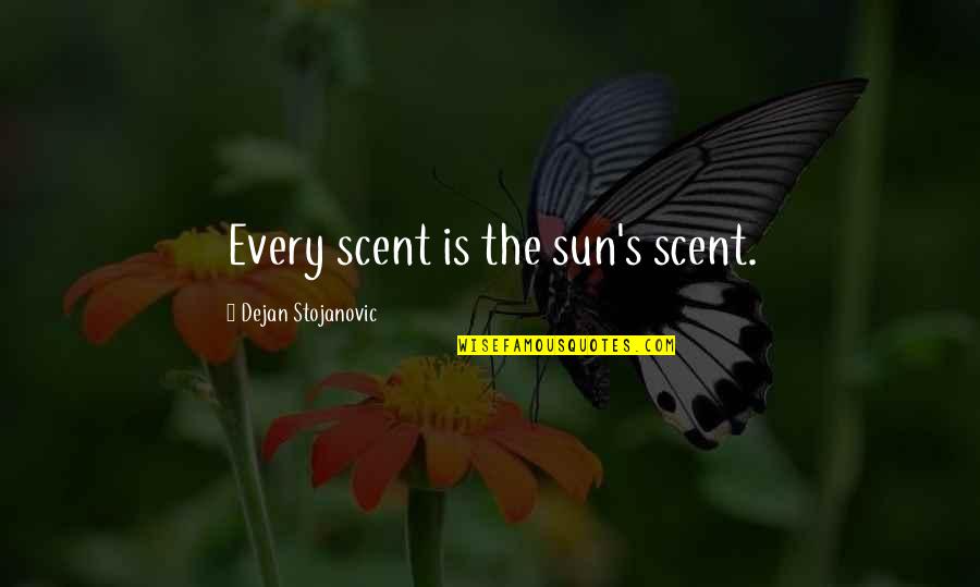 Stojanovic Quotes By Dejan Stojanovic: Every scent is the sun's scent.