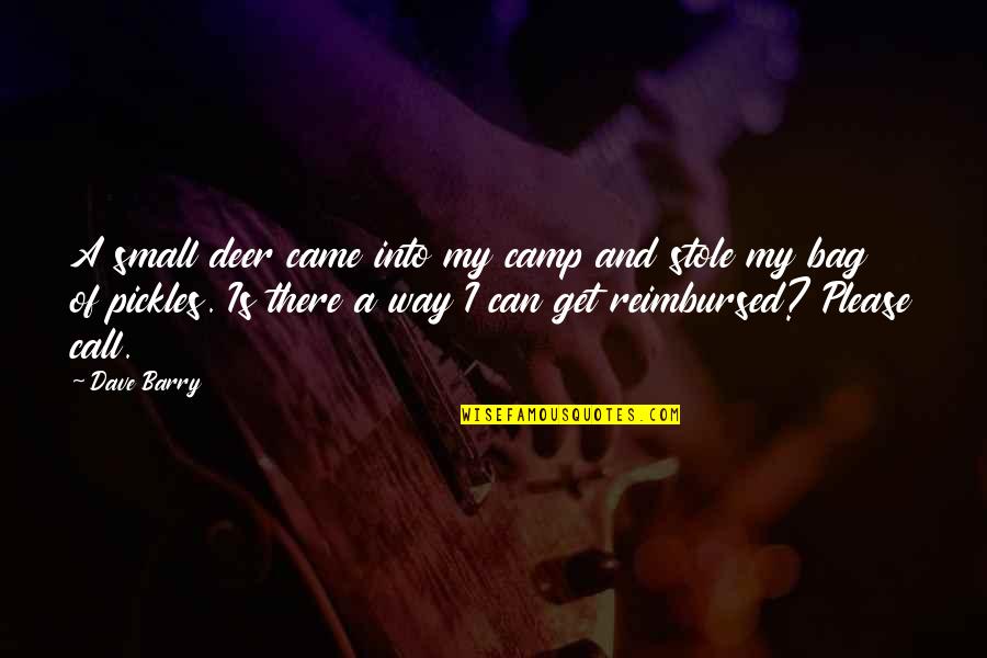 Stole Quotes By Dave Barry: A small deer came into my camp and Stole Quotes By Dave Barry: A small deer came into my camp and