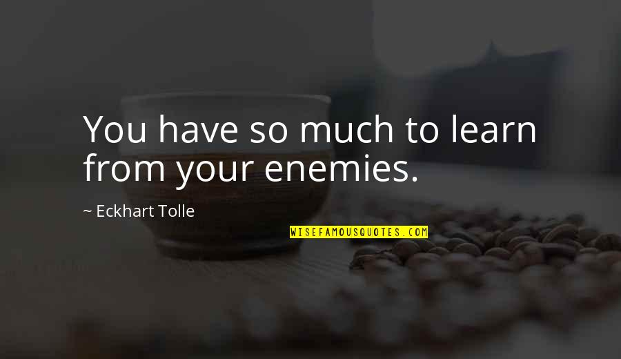 Stolisnik Quotes By Eckhart Tolle: You have so much to learn from your