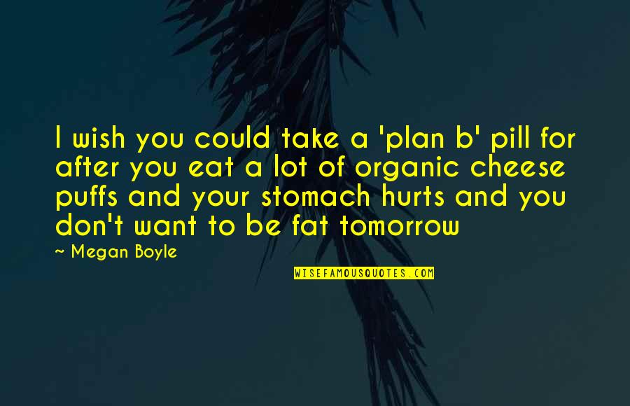 Stomach Hurts Quotes By Megan Boyle: I wish you could take a 'plan b' Stomach Hurts Quotes By Megan Boyle: I wish you could take a 'plan b'