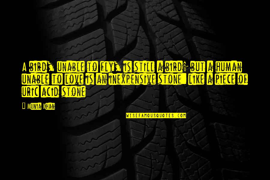 Stone And Rock Quotes By Munia Khan: A bird, unable to fly, is still a Stone And Rock Quotes By Munia Khan: A bird, unable to fly, is still a