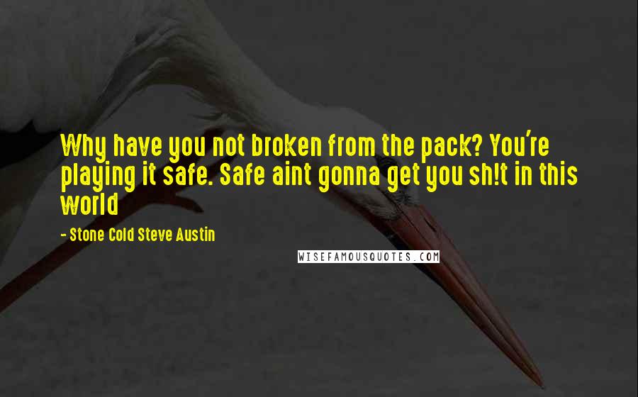 Stone Cold Steve Austin quotes: Why have you not broken from the pack? You're playing it safe. Safe aint gonna get you sh!t in this world Stone Cold Steve Austin quotes: Why have you not broken from the pack? You're playing it safe. Safe aint gonna get you sh!t in this world