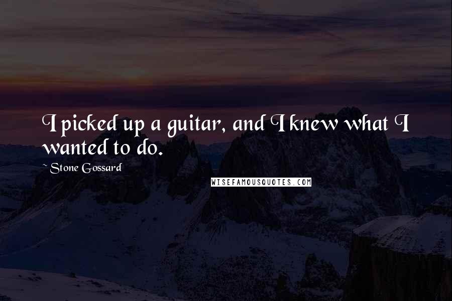 Stone Gossard quotes: I picked up a guitar, and I knew what I wanted to do.